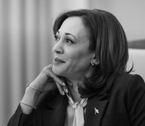 Political Assessment: Is Kamala Harris Qualified?